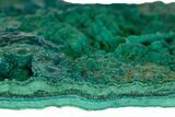 Teal Botryoidal Chrysocolla and Malachite - Chile #310125-1